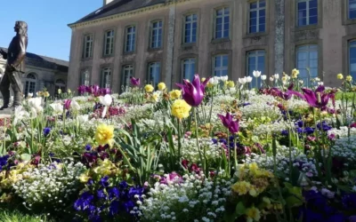 À la découverte du Jardin Public de Mortagne-au-Perche
